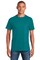 Gildan® Crewneck Heavy Cotton Short Sleeve T-Shirt 5.3 oz 100% Cotton Classic Fit Everyday Blank Tee for Custom Printing
